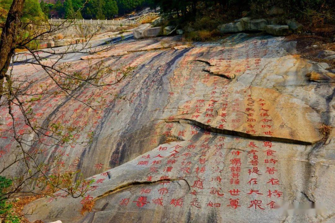 男性向恋爱游戏手游-知识星球平台,专注知识分享